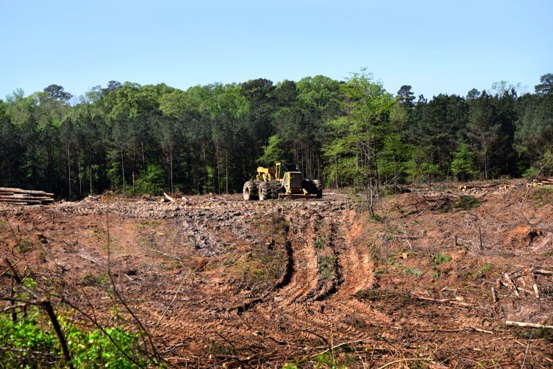 Building Site Clearing in Gwinnett County, GA