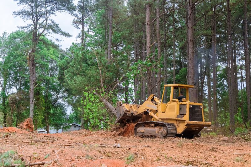 Construction Site Land Clearing in Cumming, GA