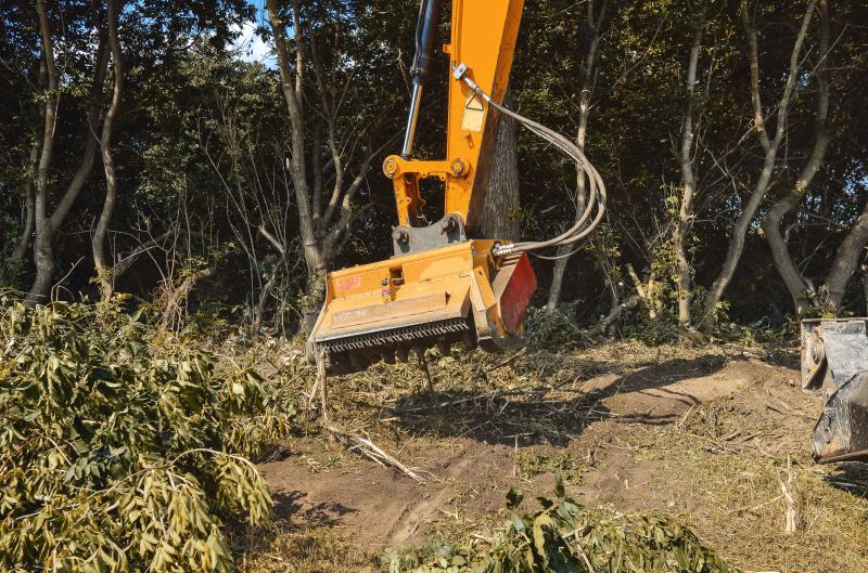 Undergrowth Removal in Utah County, UT