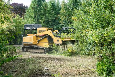 Building Site Clearing in Utah County, UT