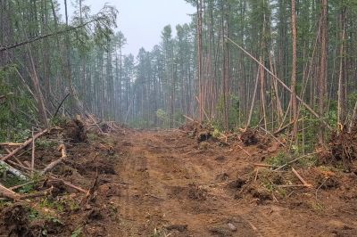 Commercial Land Preparation in Cumming, GA