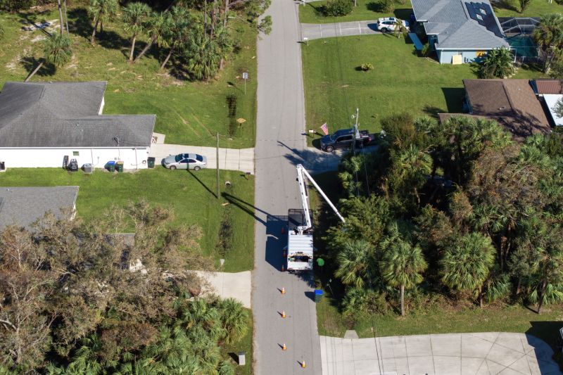 Tree And Shrub Clearing