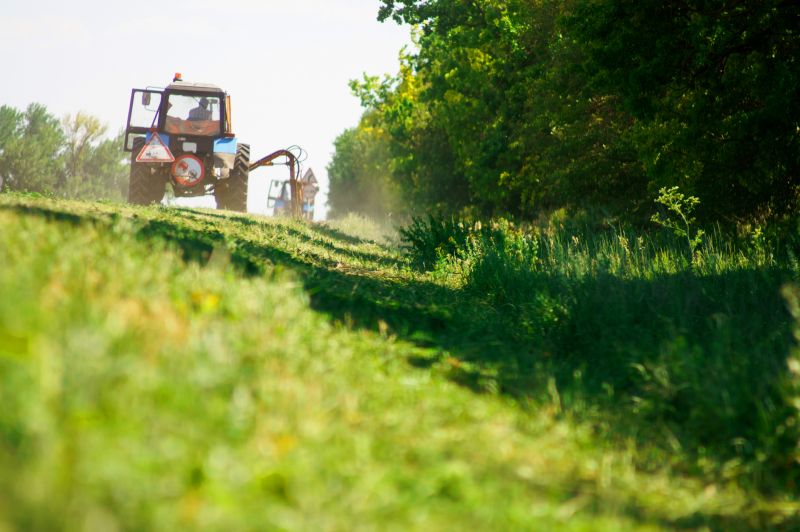 Ground Clearing in Utah County, UT