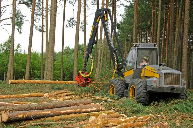 Tree Clearing Machinery