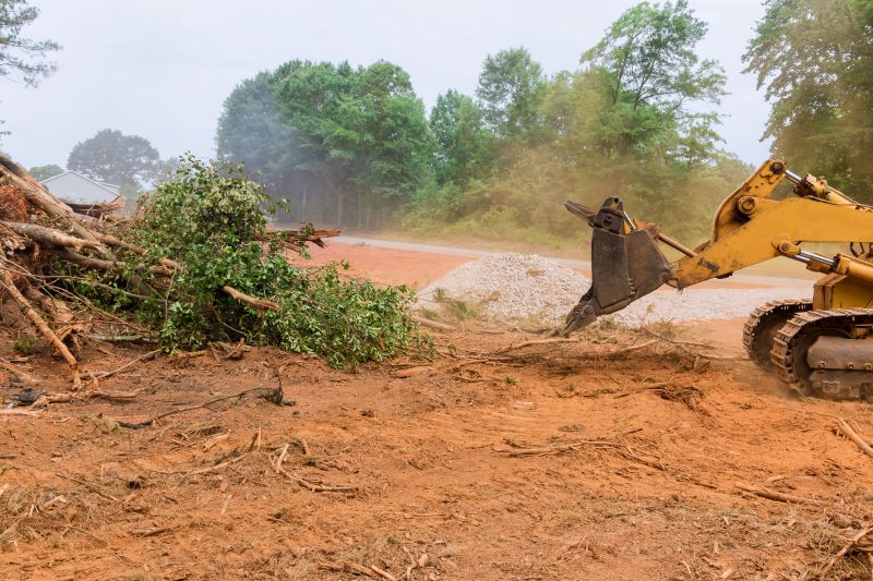 Site Clearing Service in Houston, TX