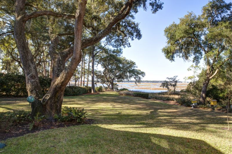 Tree And Shrub Clearing